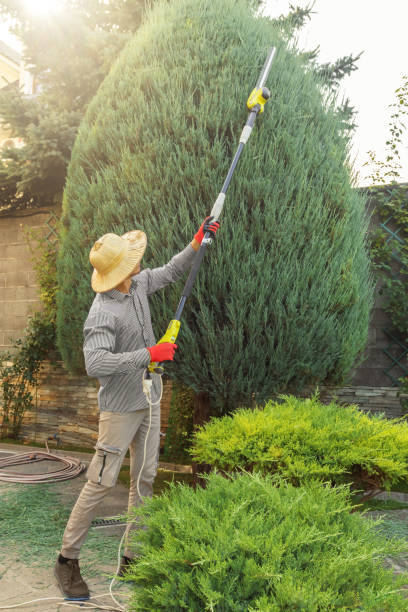 Best Lawn Pest Prevention  in Truman, MN